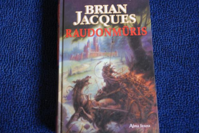 Daiktas RAUDONMŪRIS