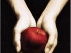 Daiktas Stephenie Meyer "Twilight"