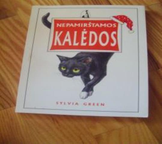 Daiktas Sylvia Green "Nepamirštamos kalėdos"