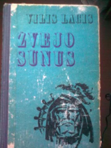 Daiktas Žvejo sūnus