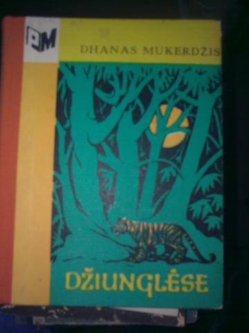 Daiktas Džiunglėse