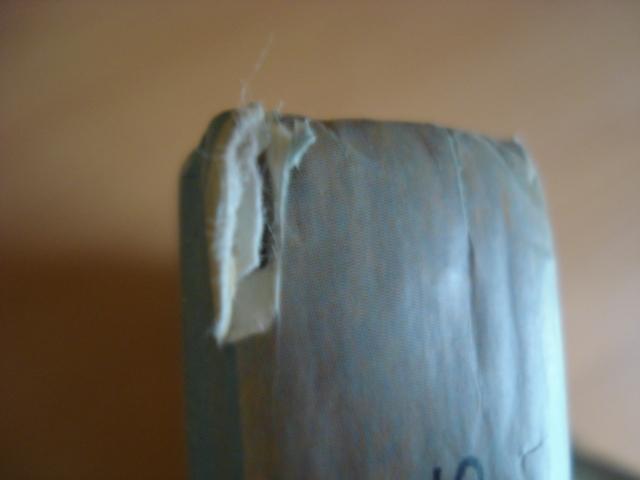 Daiktas Melvin Burgess - Heroinas