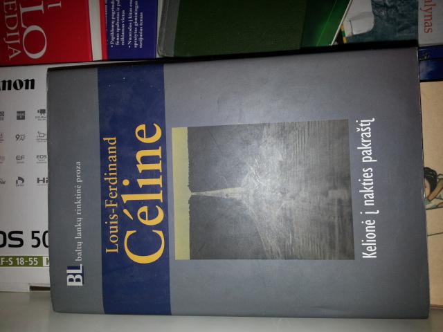 Daiktas kelione i nakties pakrasti