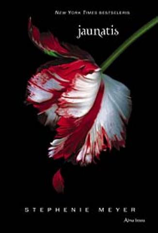 Daiktas Jaunatis. Stephenie Meyer