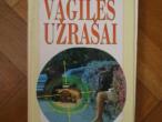Daiktas (Dovana) Dača Maraini - "Vagilės užrašai"