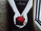 Daiktas Stephenie Meyer ,,Saulėlydis''