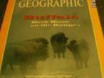 Daiktas National Geographic. 1994 m.