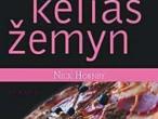 Daiktas Nick Hornby knyga Ilgesnis kelias žemyn
