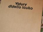 Daiktas Romualdas Lankauskas "Vidury didelio lauko"
