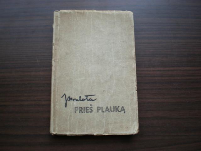 Daiktas J. Bulota - ,,Pries plauka"