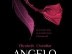 Daiktas Angelo pabučiuota, Elizabeth Chandler