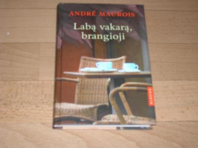 Daiktas Romanas"Labą vakarą,brangioji"