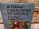 Po mėlynu Havajų dangumi (kelionių įspūdžiai) 1€ Kaunas - parduoda, keičia (1)