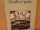 Smėlis ir puta (aforizmai)  1€ (rezervuota) Kaunas - parduoda, keičia (1)