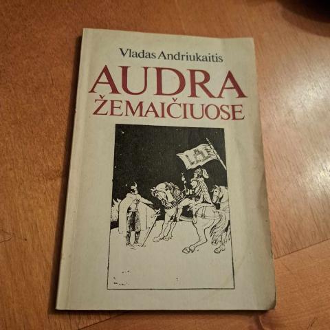 Daiktas Audra Žemaičiuose 1€