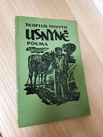 Daiktas Usnynė 1,50€