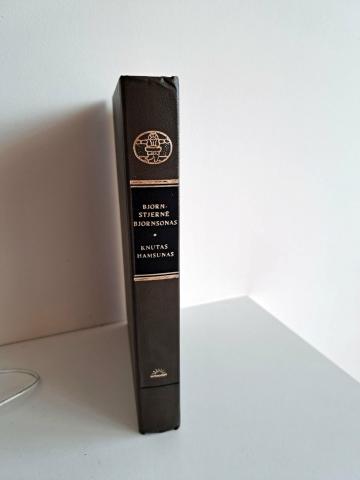 Daiktas Apysakos. Badas. Panas 2€