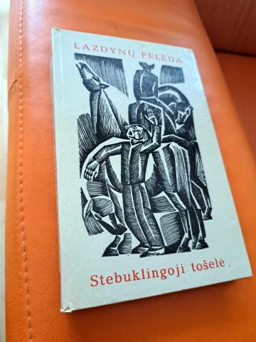 Daiktas Stebuklingoji tošelė 1€