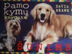 Daiktas David Brawn "Pamokymų knygutė šunims"