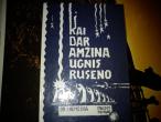 Daiktas Dr. J. Remeika Kai dar amzina ugnis ruseno