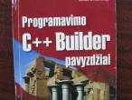 Daiktas Knyga programavimo C++Builder pavyzdžiai