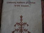 Daiktas Lietuvių k. pratimai V-VII kl.