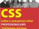 Daiktas CSS kalba ir pakopiniai stiliai profesionalams Tinklalapių kūrimas