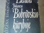 Daiktas regina sinkeviciene - lietuva johaneso bobrovskio kuryboje