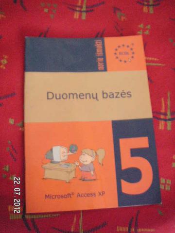 Daiktas Access zinynas