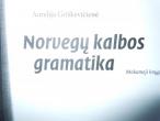 Daiktas Norvegu kalbos gramatika