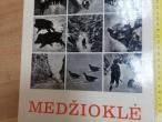 Daiktas medziokle
