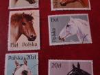 Daiktas Arkliai, Lenkija