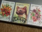 Daiktas Baltarusijos pašto ženklai.