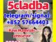 5cladba 5cladba adbb  Lowest Price and Fast Delivery Vilnius - parduoda, keičia (1)