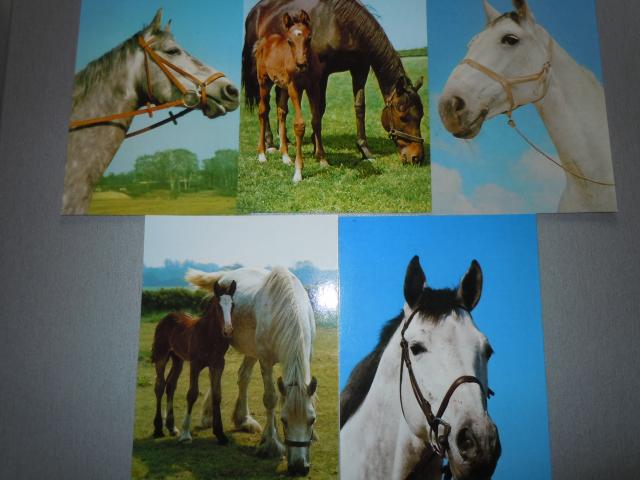 Daiktas Atvirukai - atvirlaiškiai