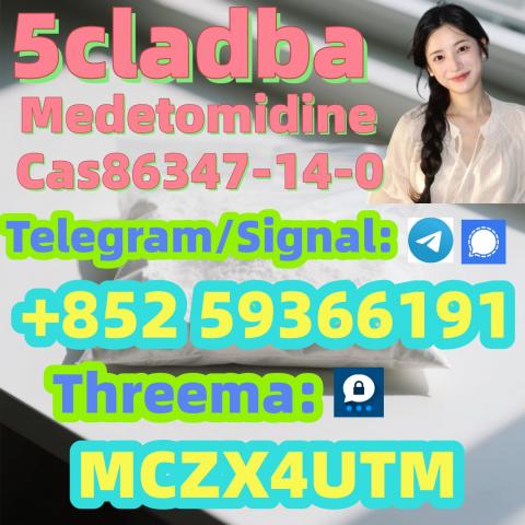 Daiktas Medetomidine Cas86347-14-0 Reliable supplier
