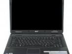 Daiktas Acer extensa 4220