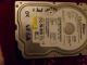 western digital 40gb sata Kaunas - parduoda, keičia (1)