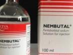 Daiktas Buy Potassium cyanide(kcn) and Nembutal(Pentobarbital) online.