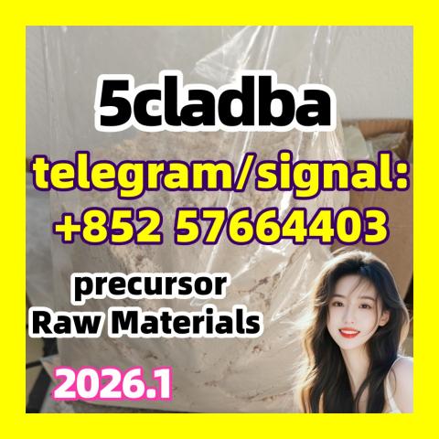 Daiktas  powder 5-cl-adb-a Powders 5cladba Hot 顾客