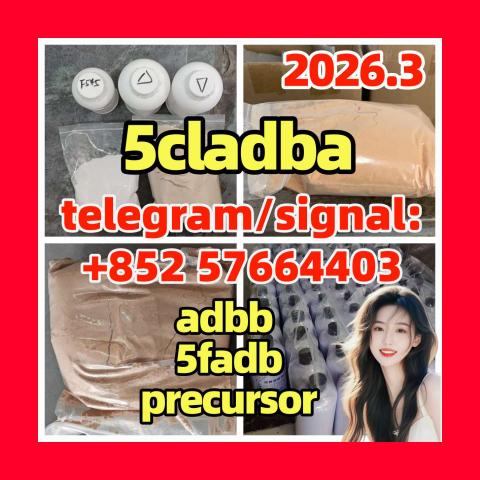 Daiktas Synthetic cannabinoid 5cladb 5fadb adbb 5cl-adb-a