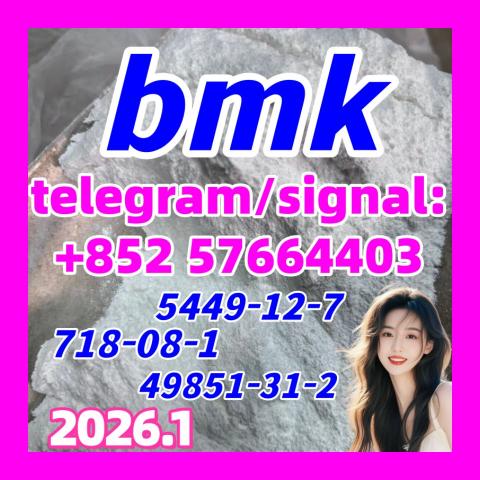 Daiktas cas 5449-12-7 BMK glycidic acid (sodium salt) with best price 