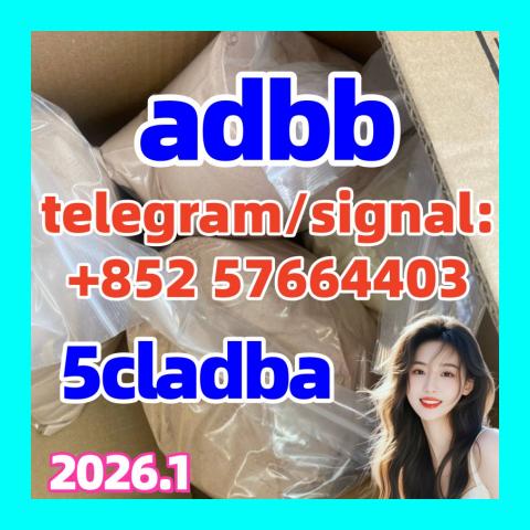 Daiktas  Strongest research chemical cannabinoid 5cl-adb-a 5cladba yellow Powde 