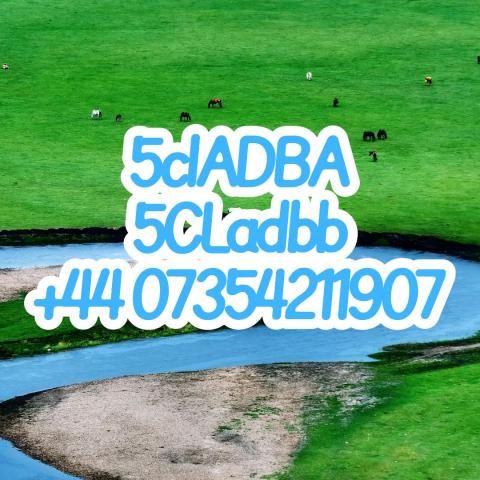 Daiktas 5cladba raw material 5cl-adb-a precursor raw