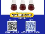 Daiktas Industrial chemicals pm.k 28578-16-7 with bm.k 5449-12-7
