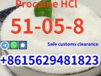 Daiktas High quality cas 51-05-8 procaine Hcl in stock