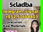 Daiktas 5cladba raw material  precursor raw