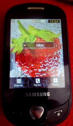 Daiktas Samsung GT-C3510