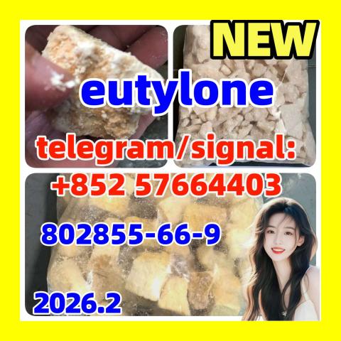 Daiktas High quality eutylone cas:802855-66-9 