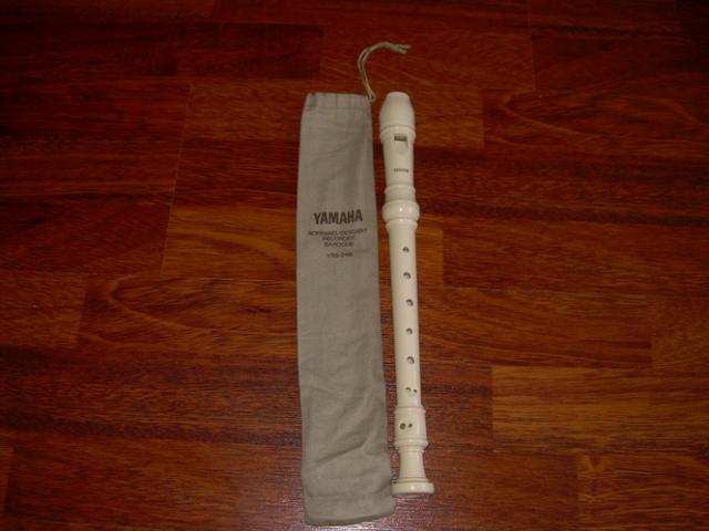 Daiktas Fleita (berods išilginė)